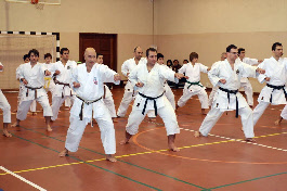 Treino de Kihon no Seminário Sensei Bob Nash 2010 em Santarem