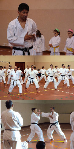 Sensei Nash explicando tsuki