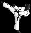 Sokuto Jodan