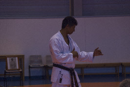 Sensei Wataru Shibata em Kamae